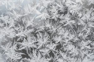 Frost feathers in black and white
